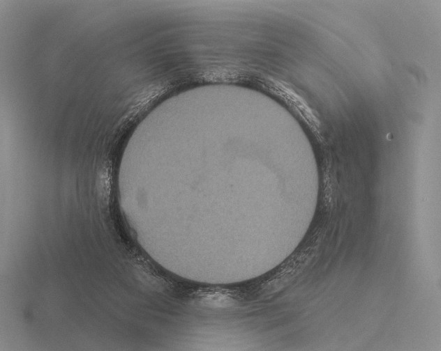 X0000115450113200912161522