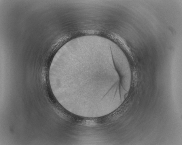 X0000115450114200912161522