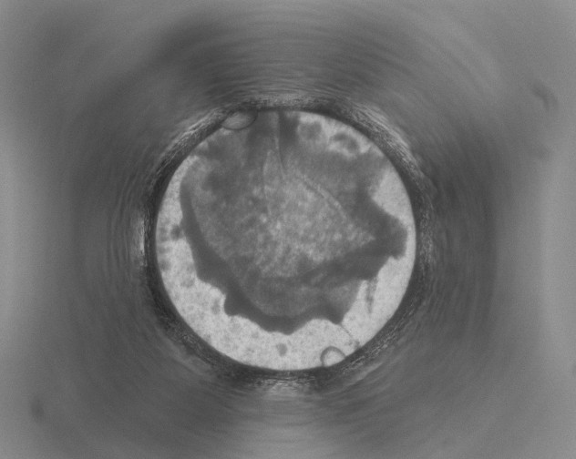 X0000115450115200912161522