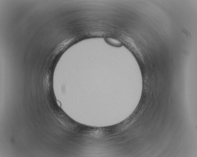 X0000115450116200912161522