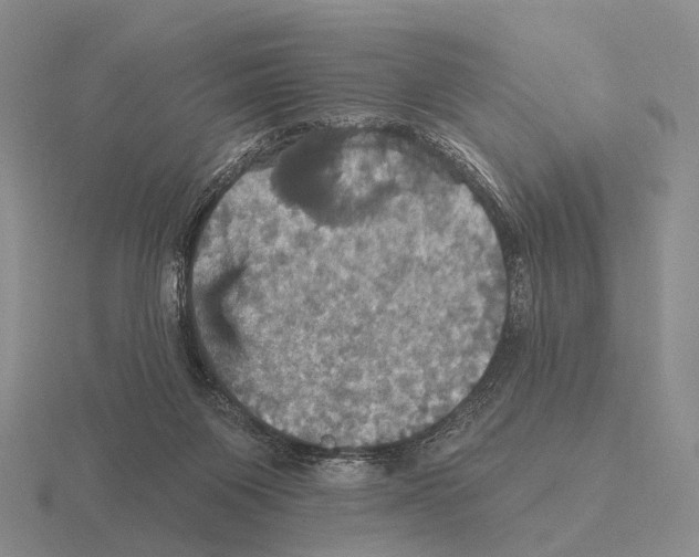 X0000115450119200912161522