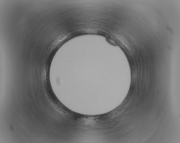 X0000115450120200912161522