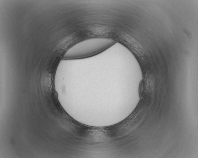 X0000115450121200912161522