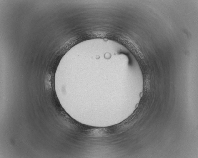 X0000115450122200912161522