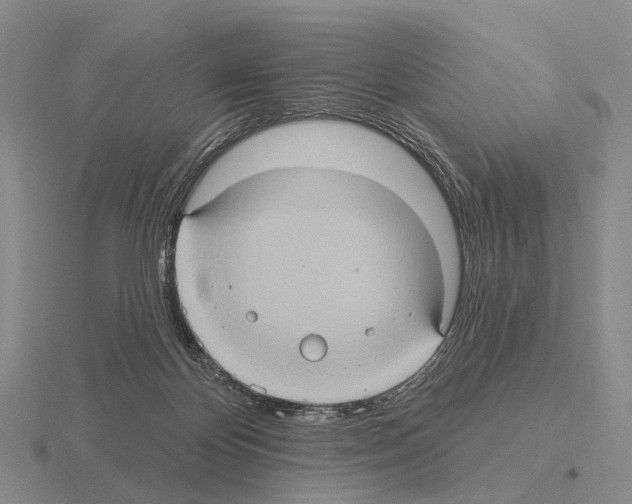 X0000115450124200912161522