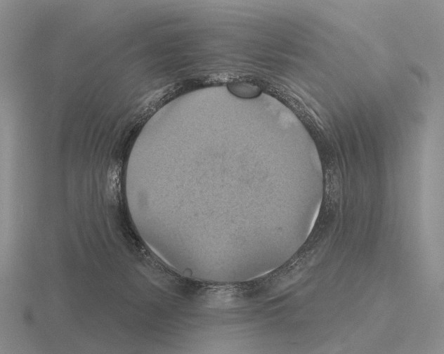 X0000115450127200912161522