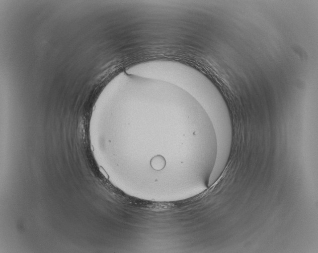 X0000115450128200912161522