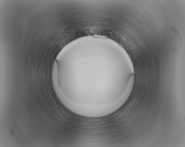 X0000115450129200912161522