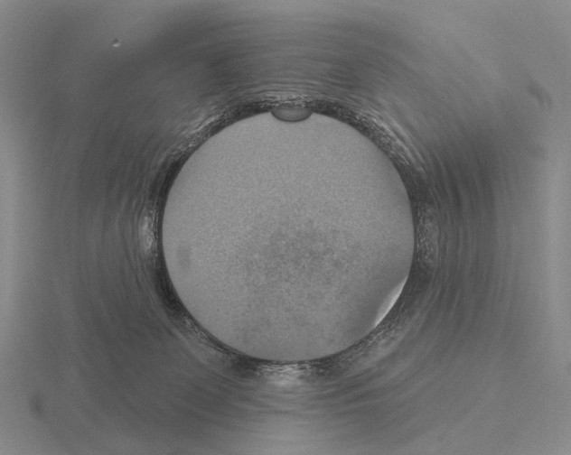 X0000115450131200912161522