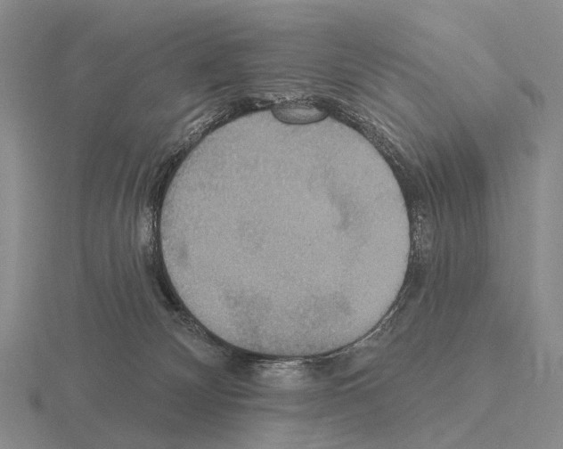 X0000115450132200912161522