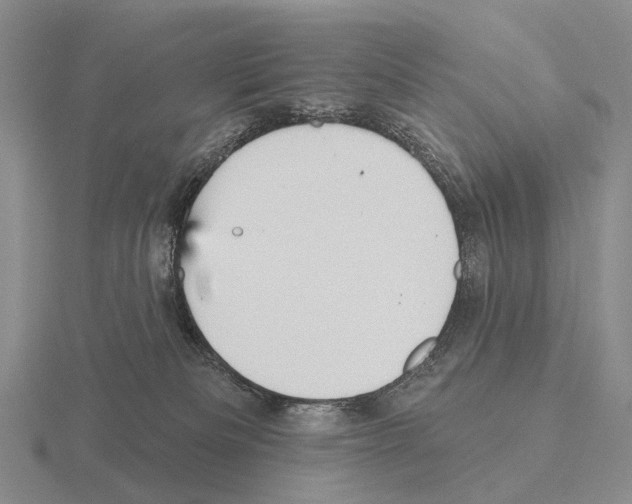 X0000115450133200912161522