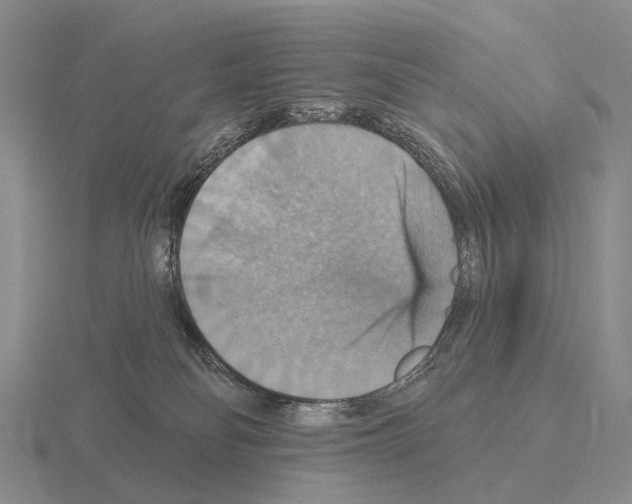 X0000115450134200912161522