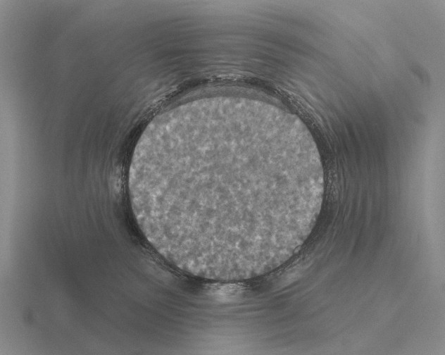 X0000115450135200912161522