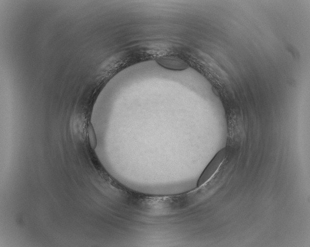 X0000115450136200912161522