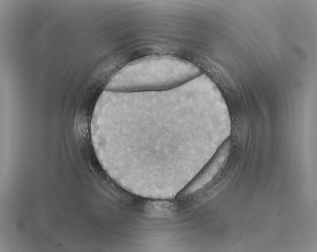 X0000115450137200912161522