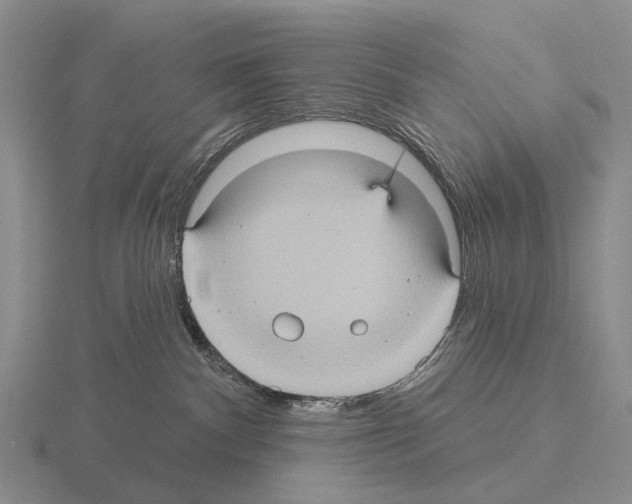 X0000115450140200912161522