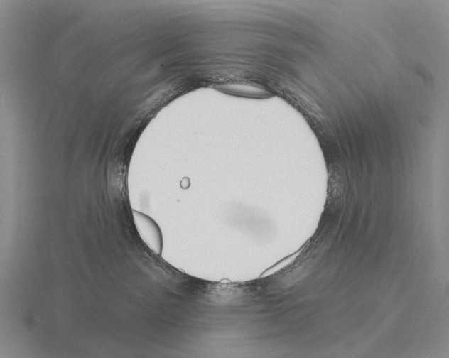 X0000115450141200912161522