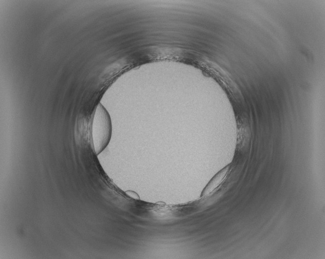 X0000115450142200912161522