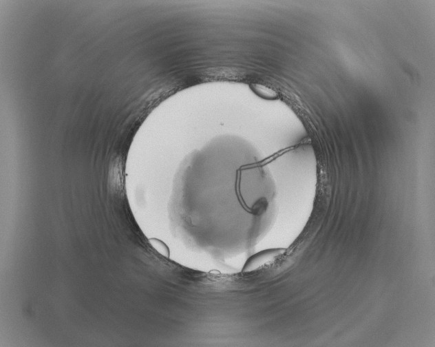 X0000115450143200912161522