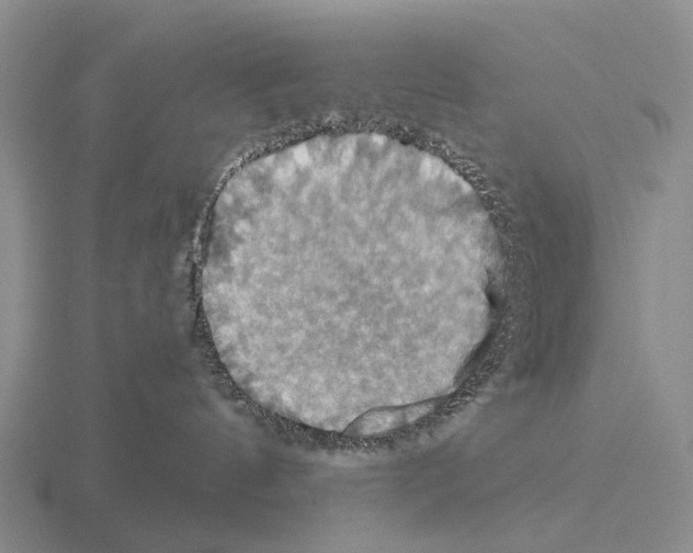 X0000115450144200912161522