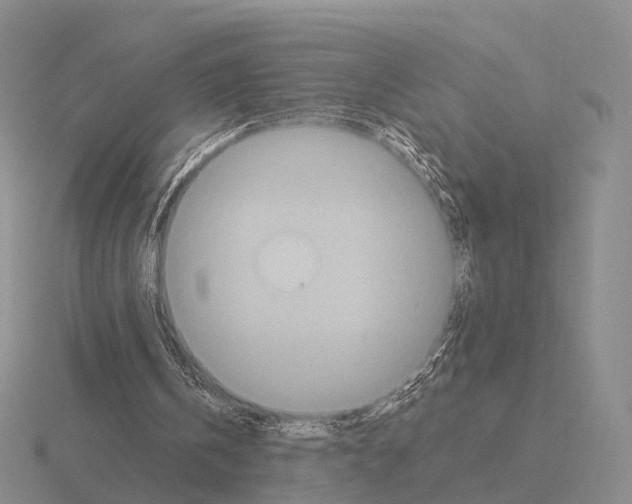 X0000115450146200912161521