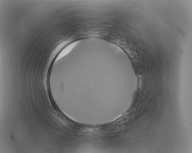 X0000115450147200912161521