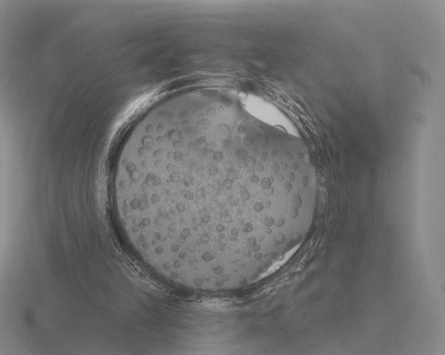 X0000115450149200912161521