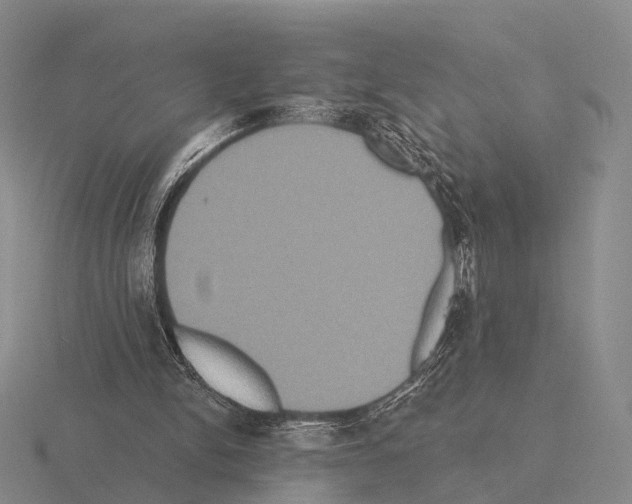 X0000115450150200912161521