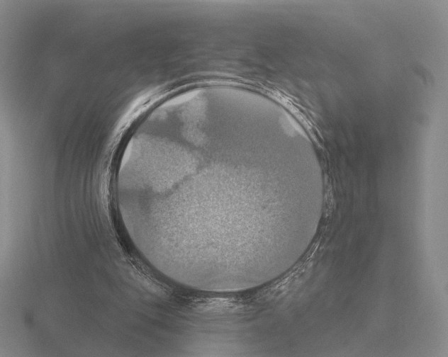 X0000115450151200912161521