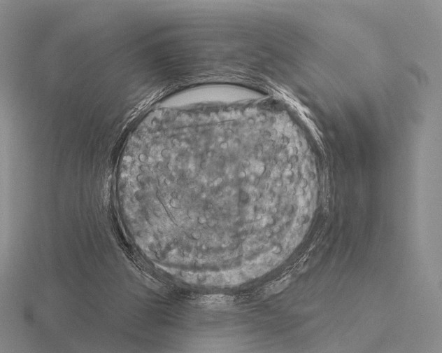 X0000115450153200912161521