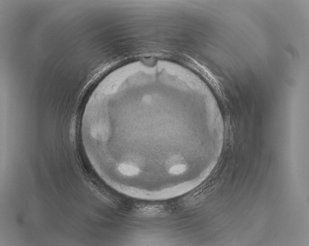 X0000115450155200912161521