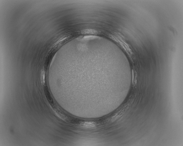 X0000115450157200912161521