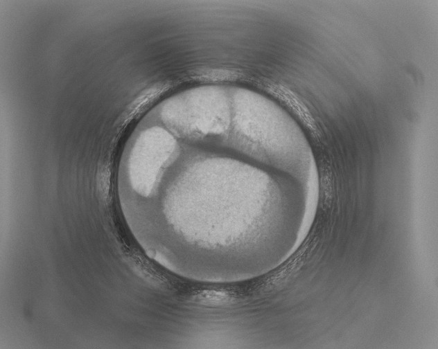 X0000115450159200912161521