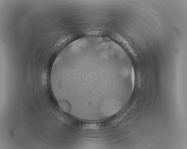 X0000115450161200912161521