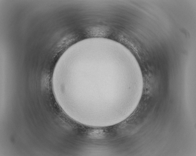 X0000115450162200912161521