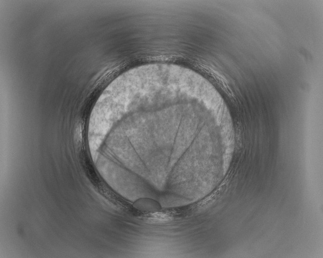 X0000115450166200912161521