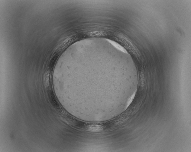 X0000115450169200912161521