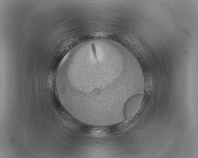 X0000115450175200912161522