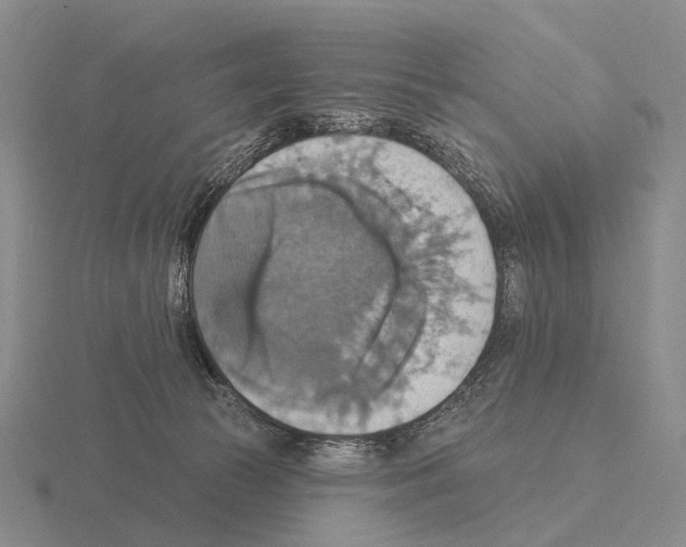 X0000115450177200912161522