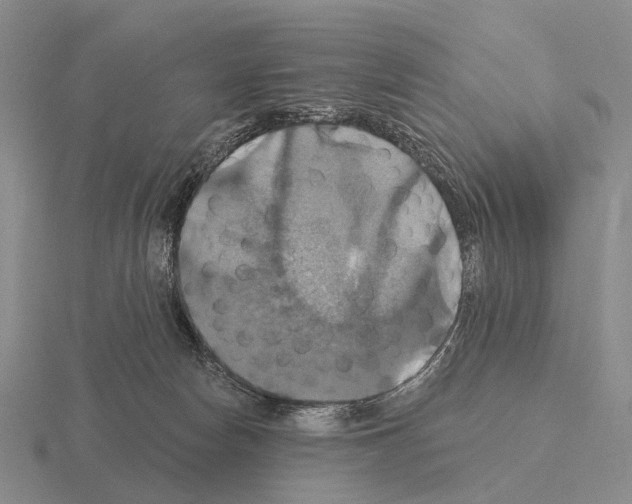 X0000115450178200912161522