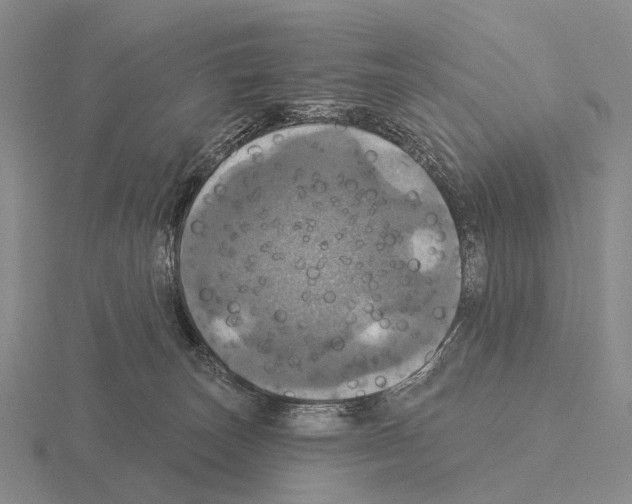 X0000115450179200912161522