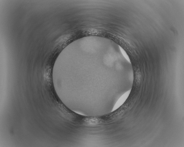 X0000115450181200912161522