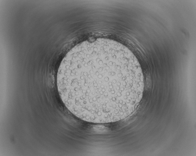 X0000115450183200912161522