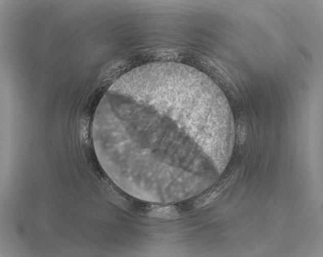 X0000115450185200912161522