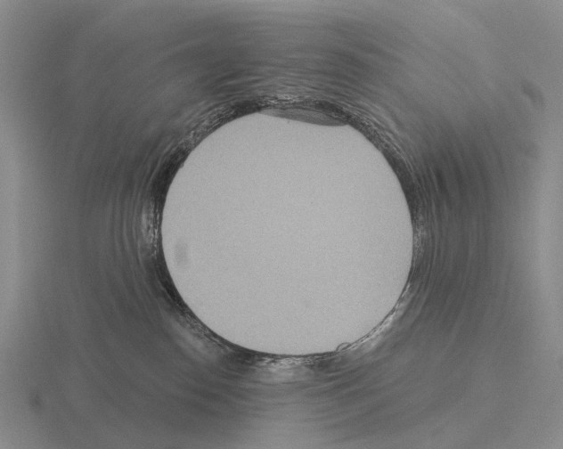 X0000115450186200912161522