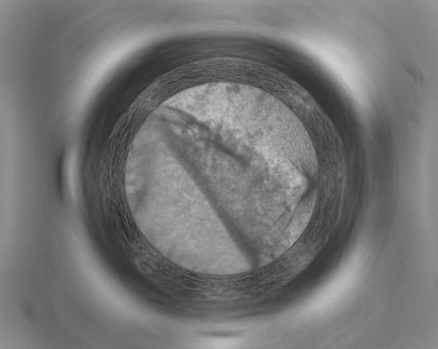 X0000115450189200912161522