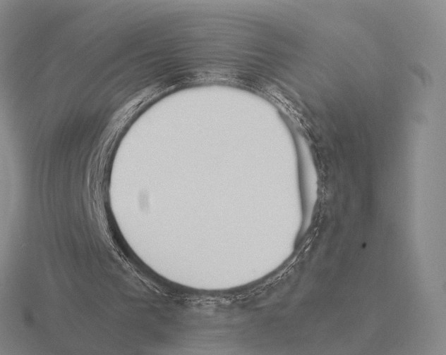 X0000115450193200912161521