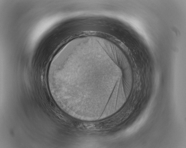 X0000115450194200912161521