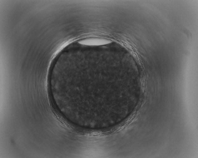 X0000115450196200912161521