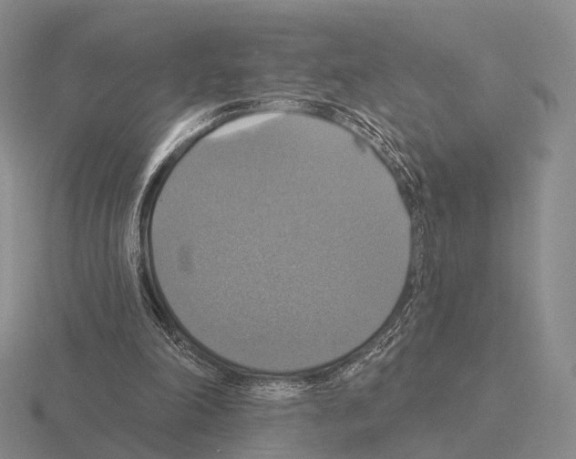 X0000115450198200912161521